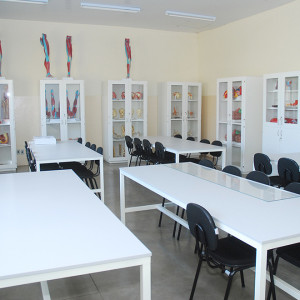 Laboratório de Anatomia